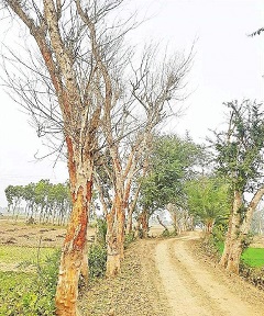 image-here